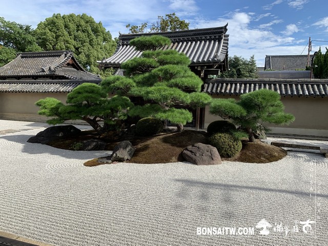 135 [日本庭園]觀智院(kanchiin house)