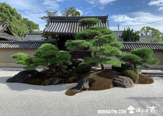 137 [日本庭園]觀智院(kanchiin house) 2019