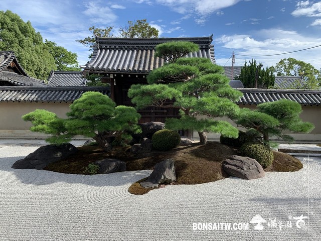 137 [日本庭園]觀智院(kanchiin house)