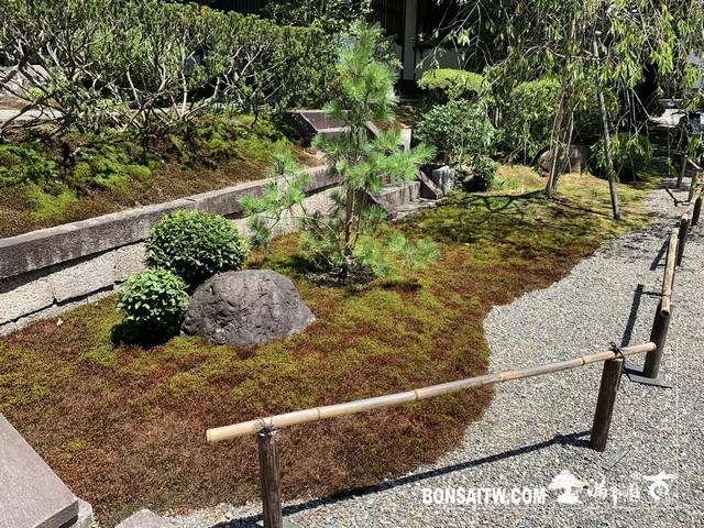 143 [日本庭園]成就院