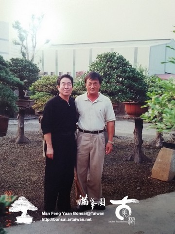 滿峯園古美樹羅漢松