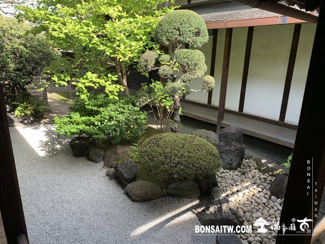 204 [日本庭園]觀智院(kanchiin house)