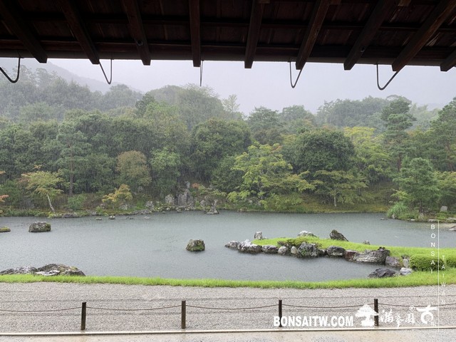 279 [日本庭園]雨天的天龍寺 日本庭園(Japanese Garden)