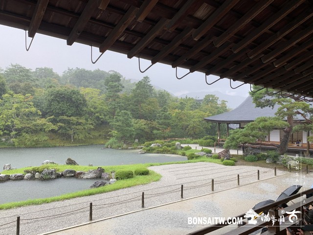 282 [日本庭園]雨天的天龍寺 日本庭園(Japanese Garden)