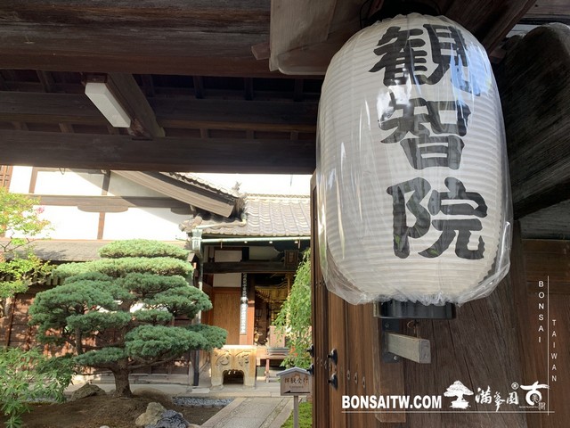 283 [日本庭園]觀智院(kanchiin house)