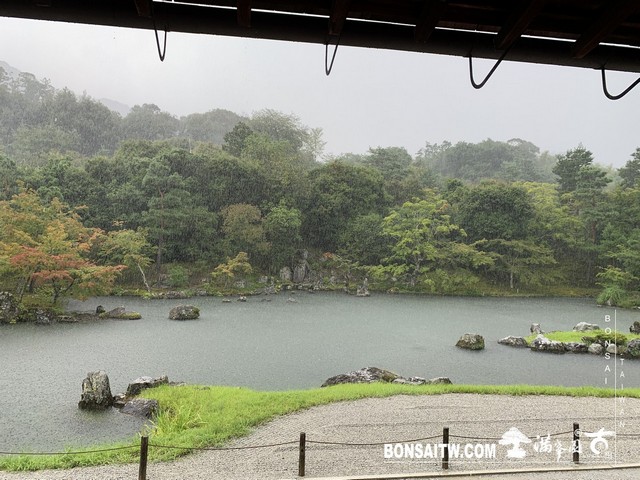 287 [日本庭園]雨天的天龍寺 日本庭園(Japanese Garden)