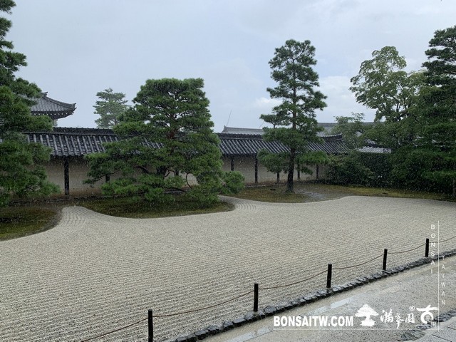 293 [日本庭園]雨天的天龍寺 日本庭園(Japanese Garden)