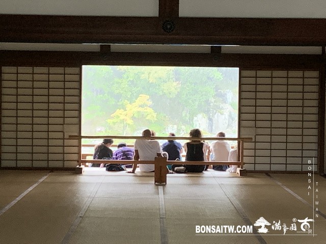 296 [日本庭園]雨天的天龍寺 日本庭園(Japanese Garden)