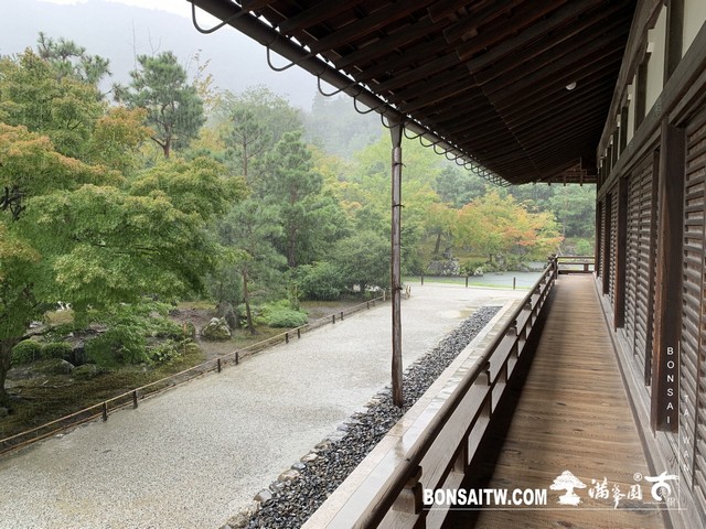297 [日本庭園]雨天的天龍寺 日本庭園(Japanese Garden)