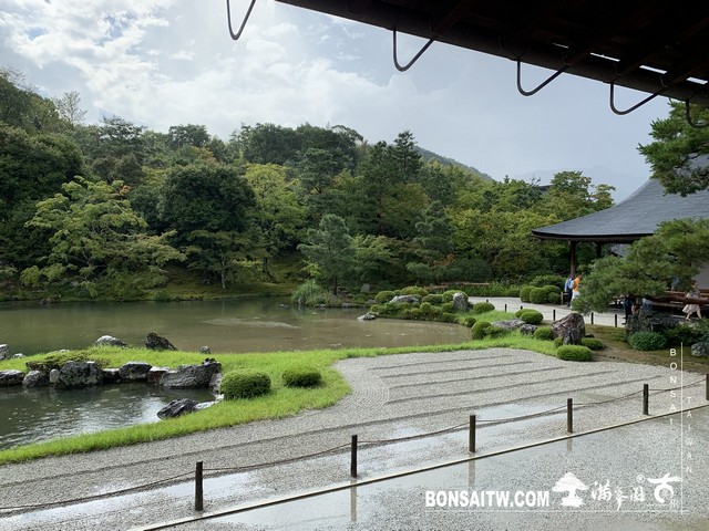 303 [日本庭園]雨天的天龍寺 日本庭園(Japanese Garden)