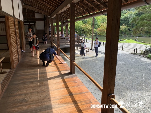 313 [日本庭園]雨天的天龍寺 日本庭園(Japanese Garden)