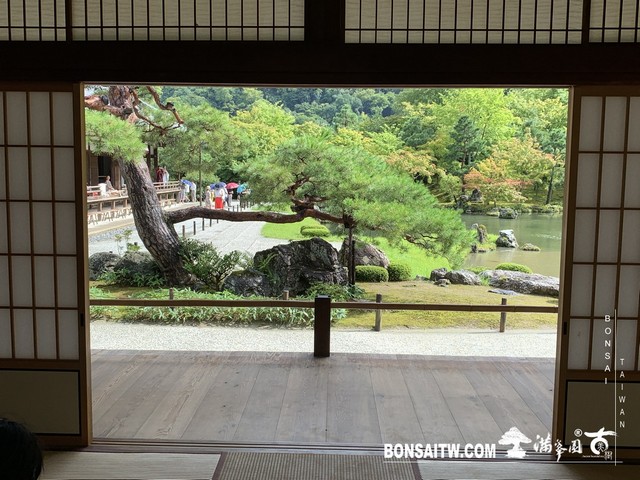 319 [日本庭園]雨天的天龍寺 日本庭園(Japanese Garden)