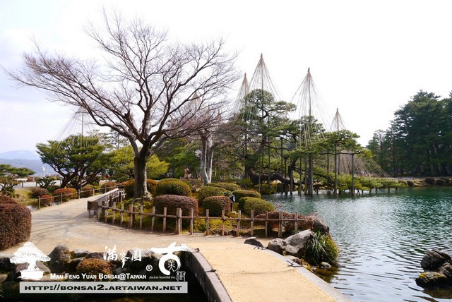 古美樹滿峯園日本庭園兼六園