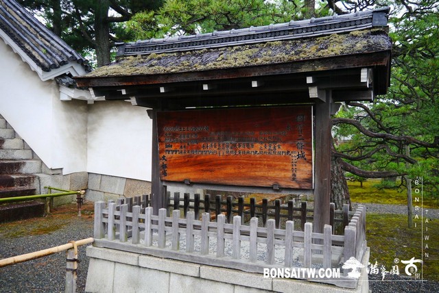 P1230380 [日本庭園]二条城．二の丸庭園