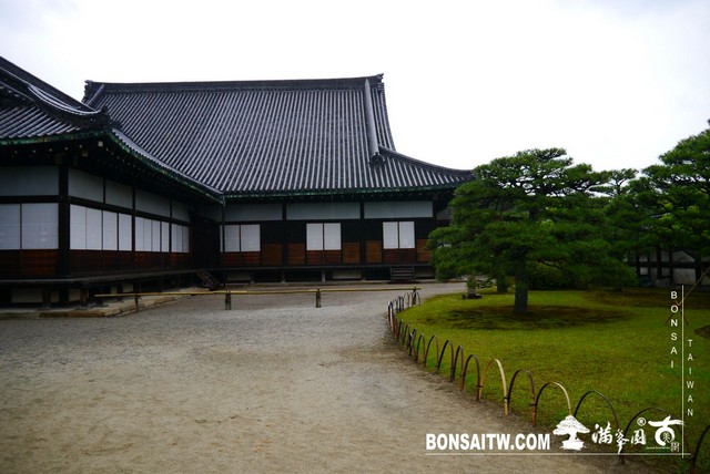 P1230416 [日本庭園]二条城．二の丸庭園