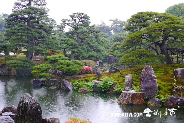 P1230492 [日本庭園]二条城．二の丸庭園