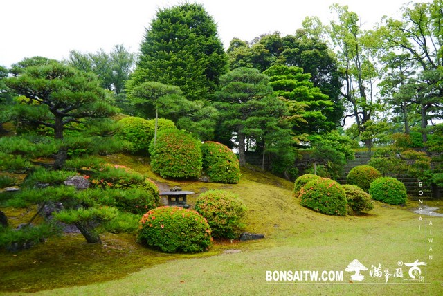 P1230532 [日本庭園]二条城．二の丸庭園