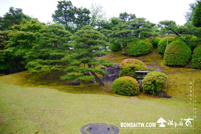 P1230536 [日本庭園]二条城．二の丸庭園