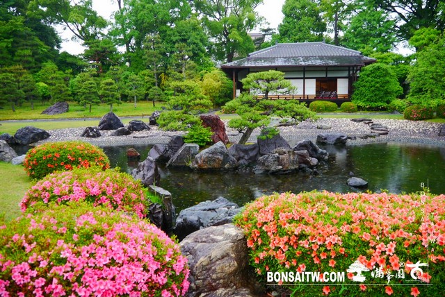 P1230673 [日本庭園]二条城．二の丸庭園
