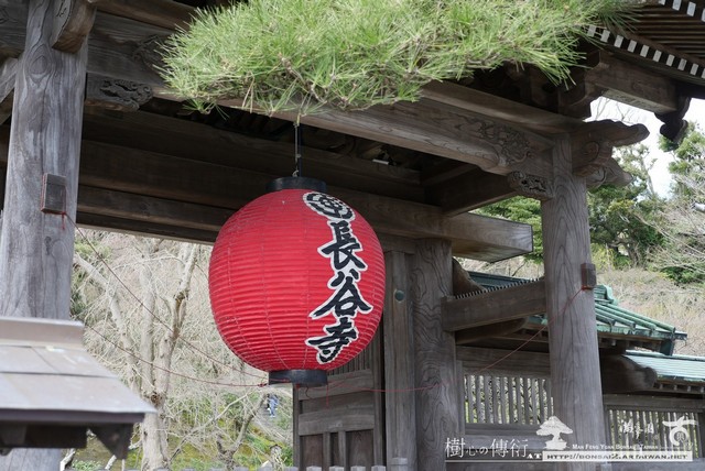 滿峯園古美樹長谷寺