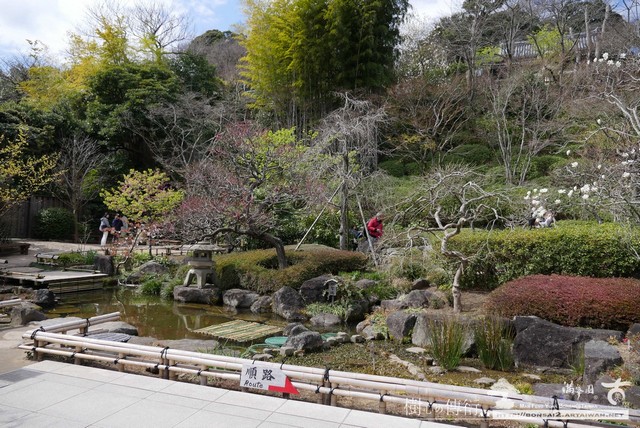 滿峯園古美樹長谷寺