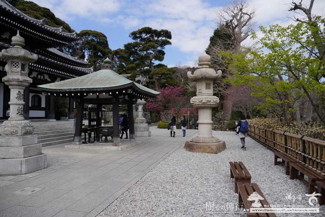 滿峯園古美樹長谷寺