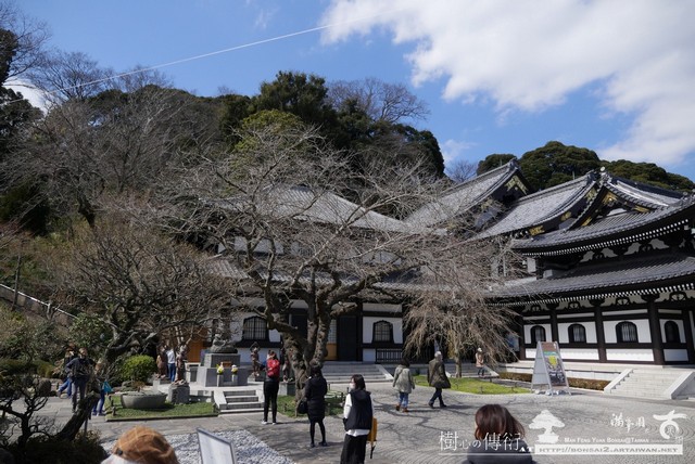 滿峯園古美樹長谷寺