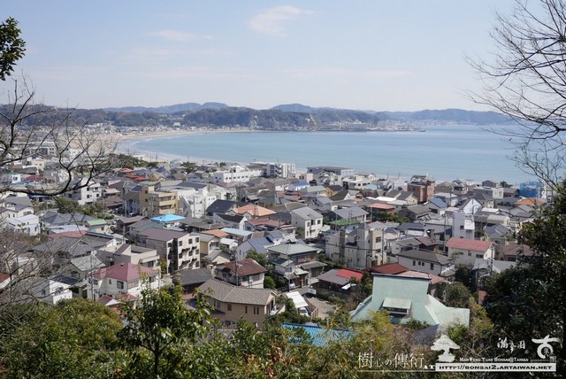 滿峯園古美樹長谷寺