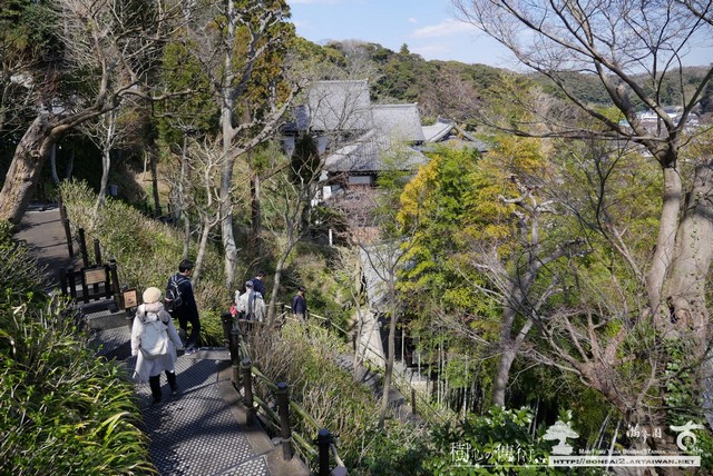 滿峯園古美樹長谷寺