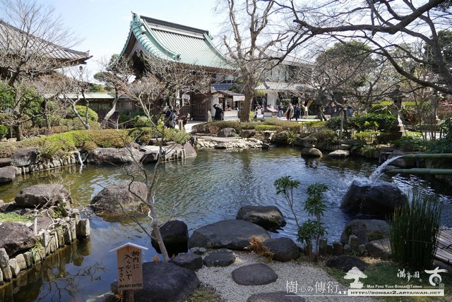 滿峯園古美樹長谷寺