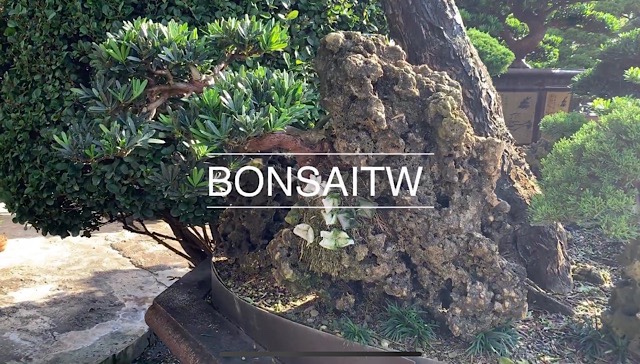 img 0468 [樹石共生]有些事物，是需要透過時間的沈澱，才能顯現出它的味道。