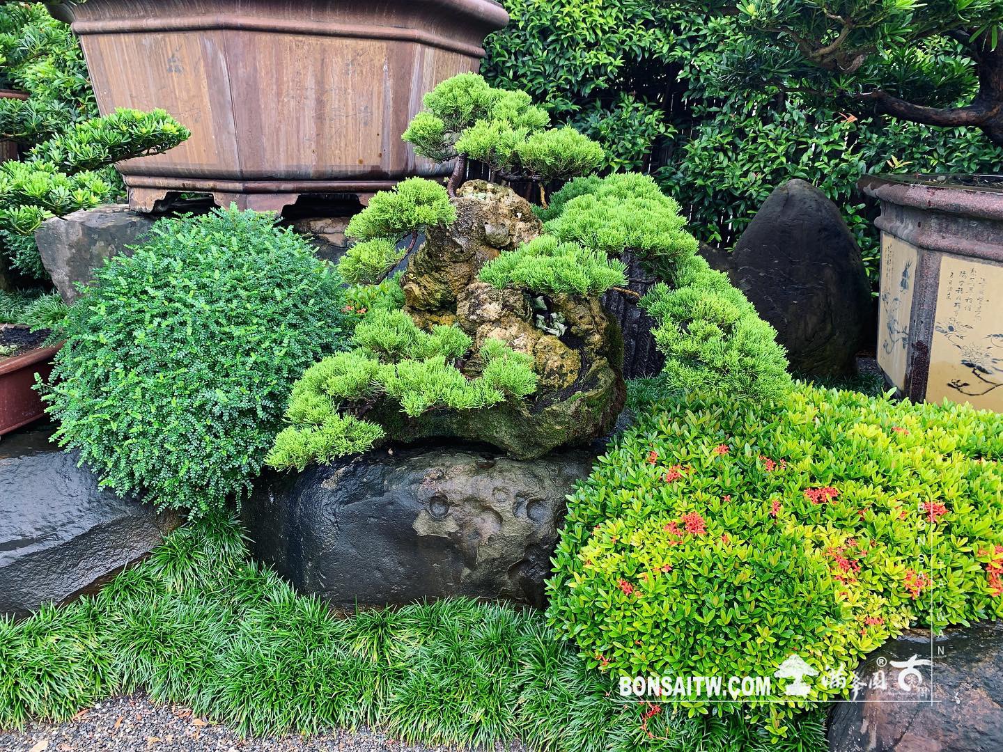 06bf2b49 7426 4319 afa1 23fbf405dbdf [樹石共生之趣]整理 Rock with trre