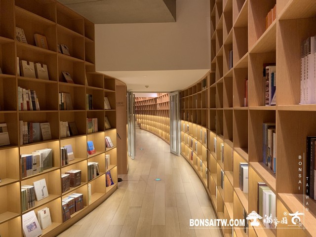 155 [建築與空間]明珠美術館 羅漢松(Podocarpus costalis)