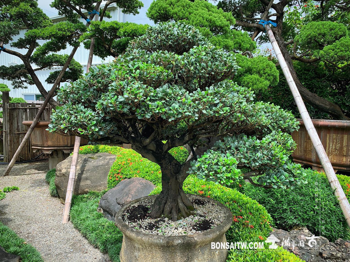 2f52d8a3 dca9 48e7 98d9 ae2bfd2b4ba3 [象牙樹] 整理 我們的作品(Our Design)