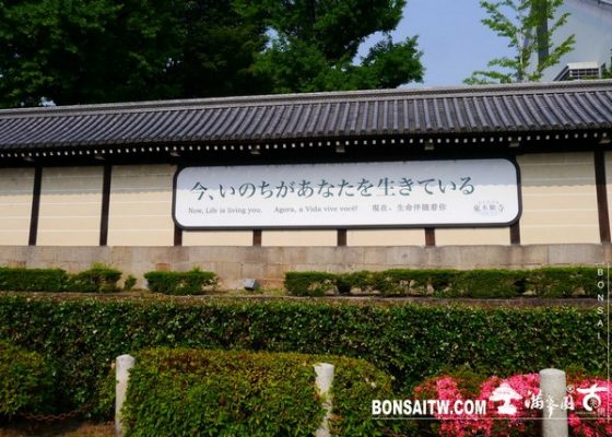 P1310050 [建築與空間]西本願寺．京都 建築與空間(architecture and space)