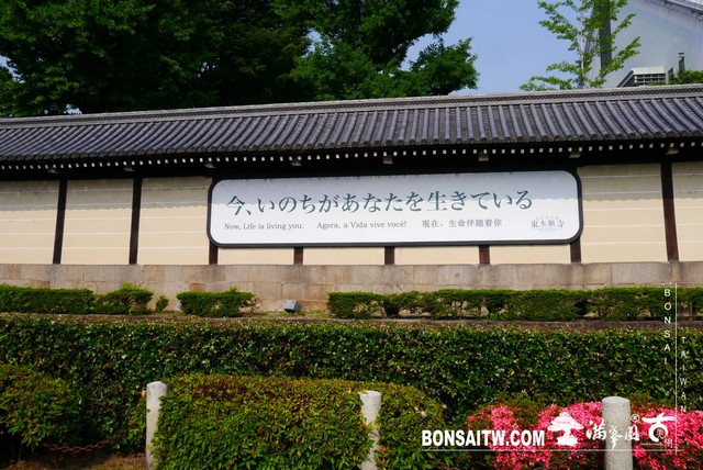 P1310050 [建築與空間]西本願寺．京都 建築與空間(architecture and space)