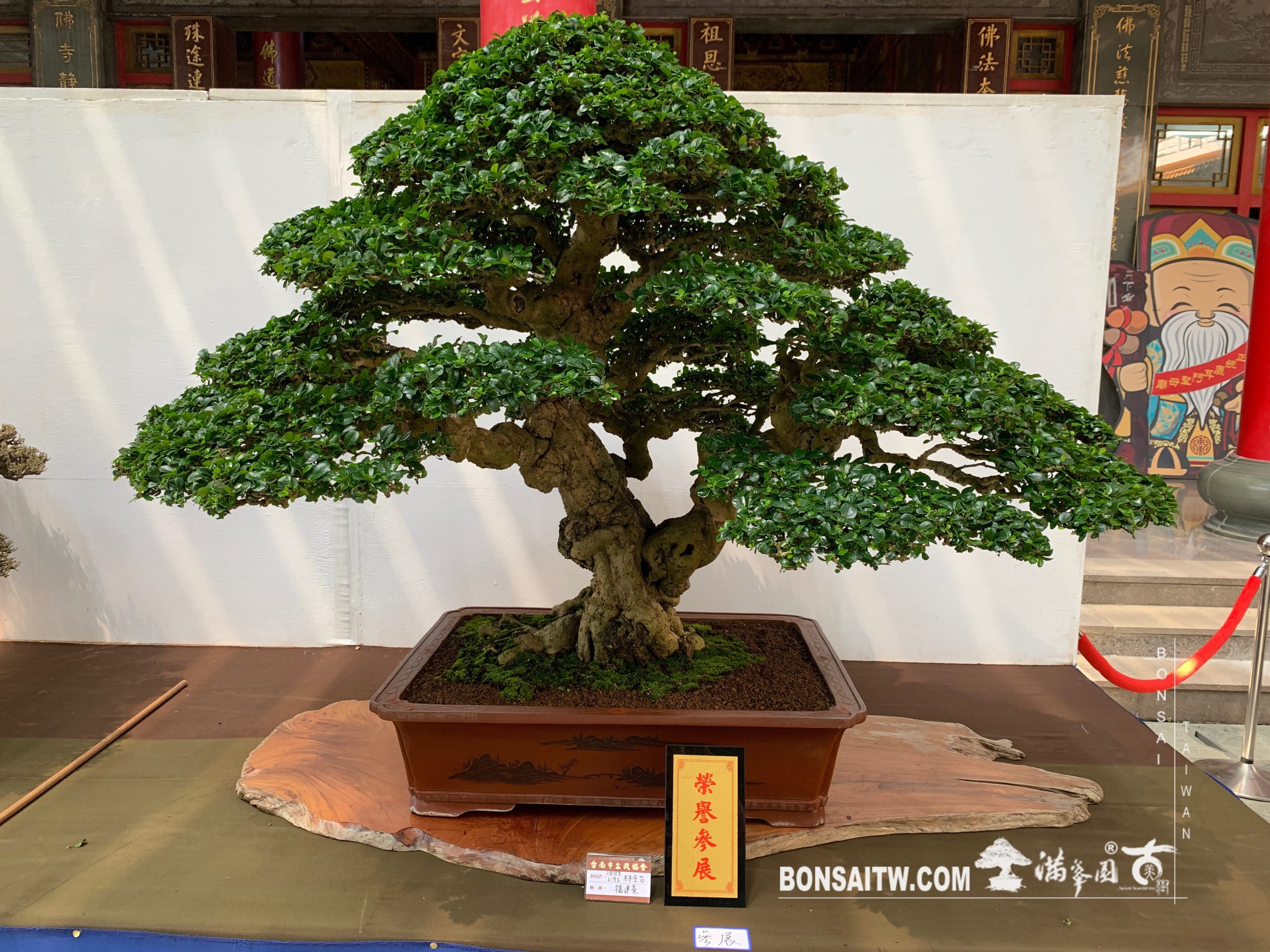 img 2180 [展覽] 2019台南市盆栽大賽暨書畫聯展