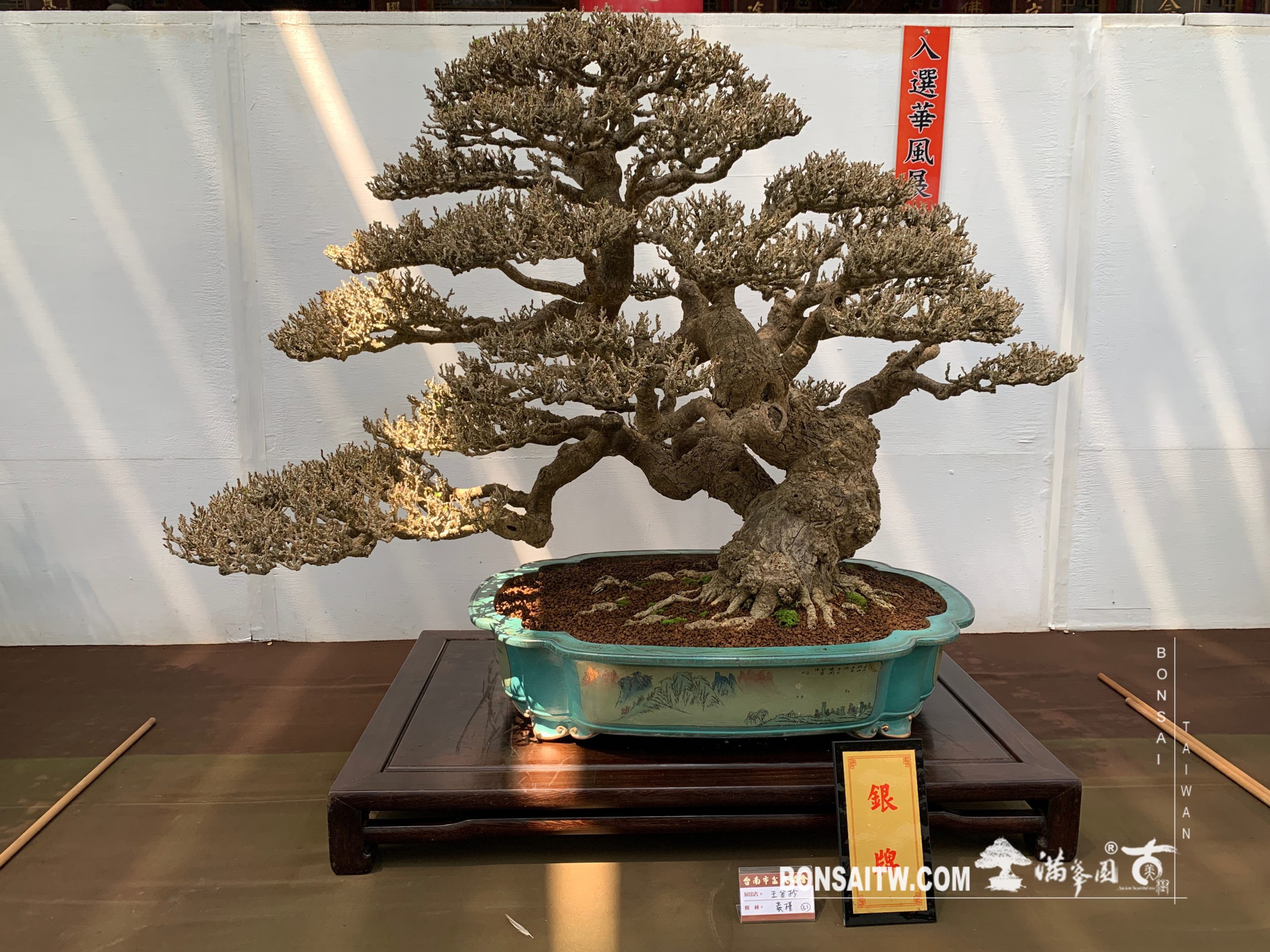 img 2183 [展覽] 2019台南市盆栽大賽暨書畫聯展