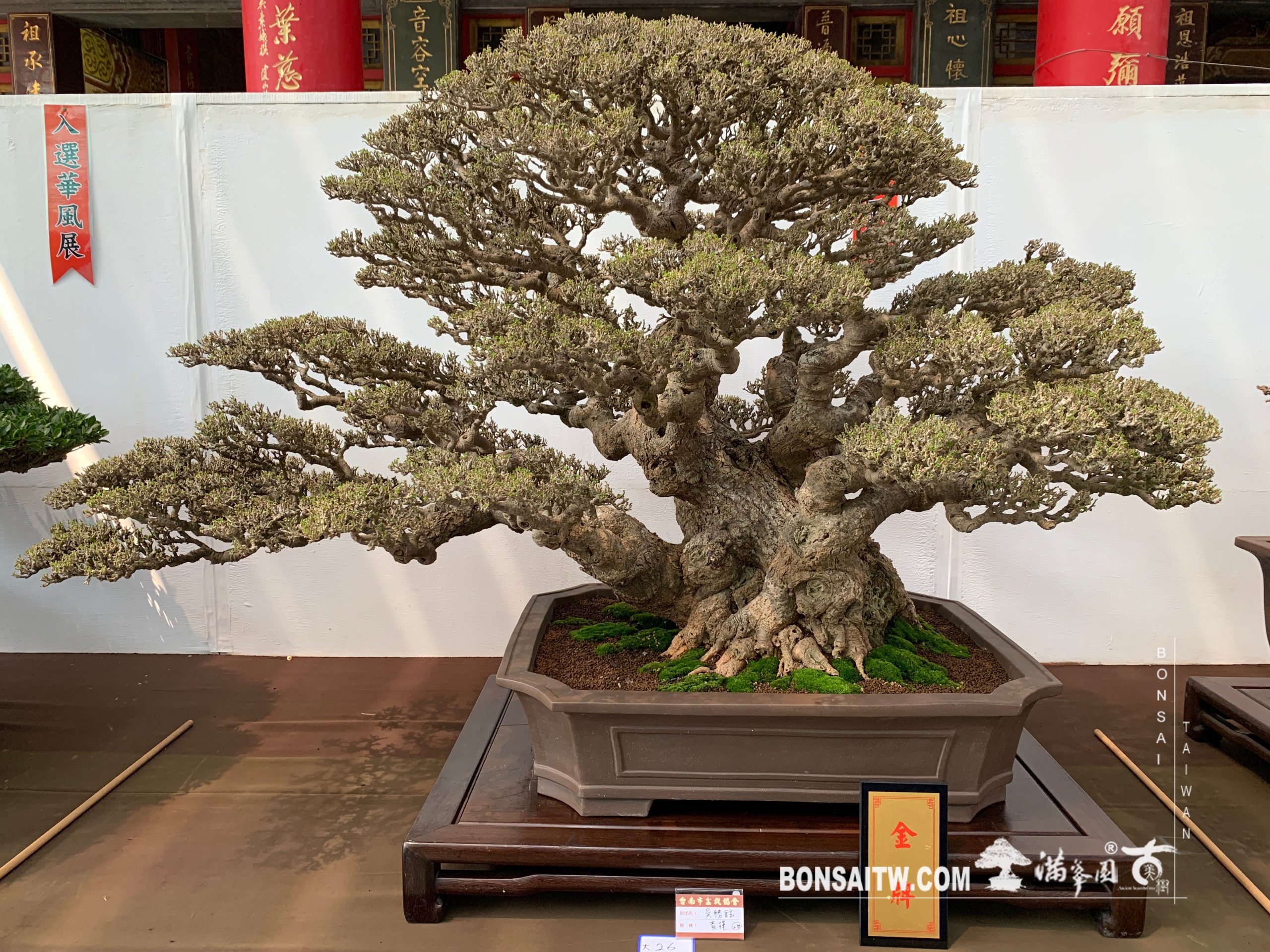 img 2185 [展覽] 2019台南市盆栽大賽暨書畫聯展