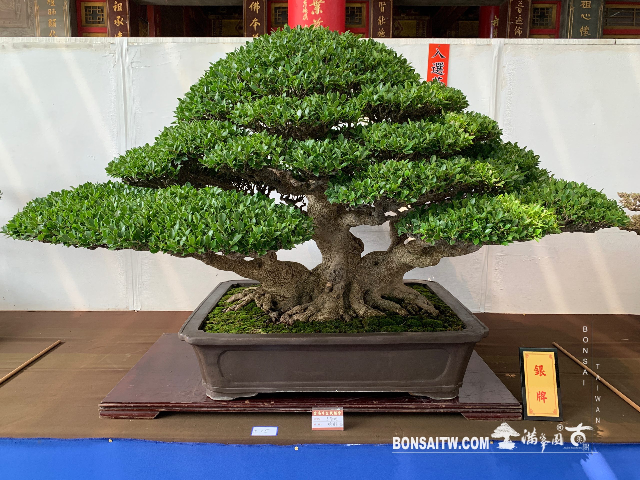 img 2186 [展覽] 2019台南市盆栽大賽暨書畫聯展