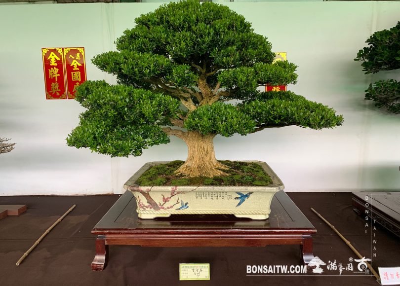 img 2416 [展覽] 2019港都壽山展