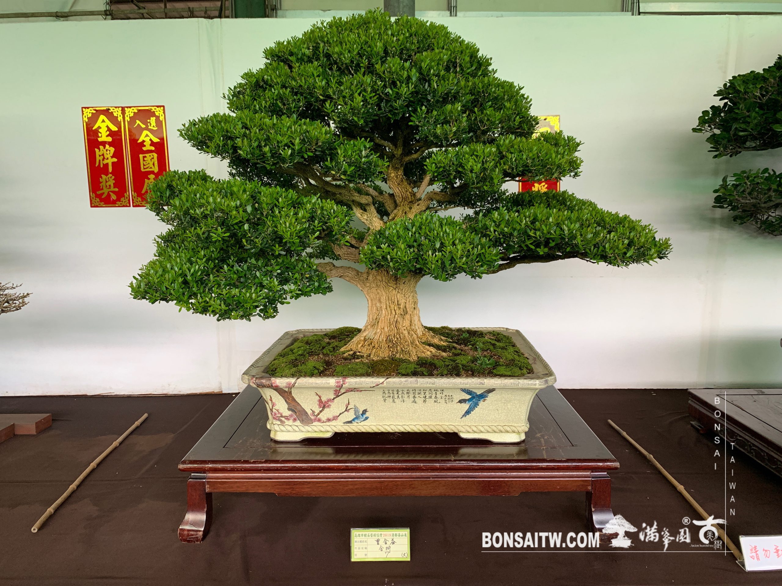 img 2416 [展覽] 2019港都壽山展