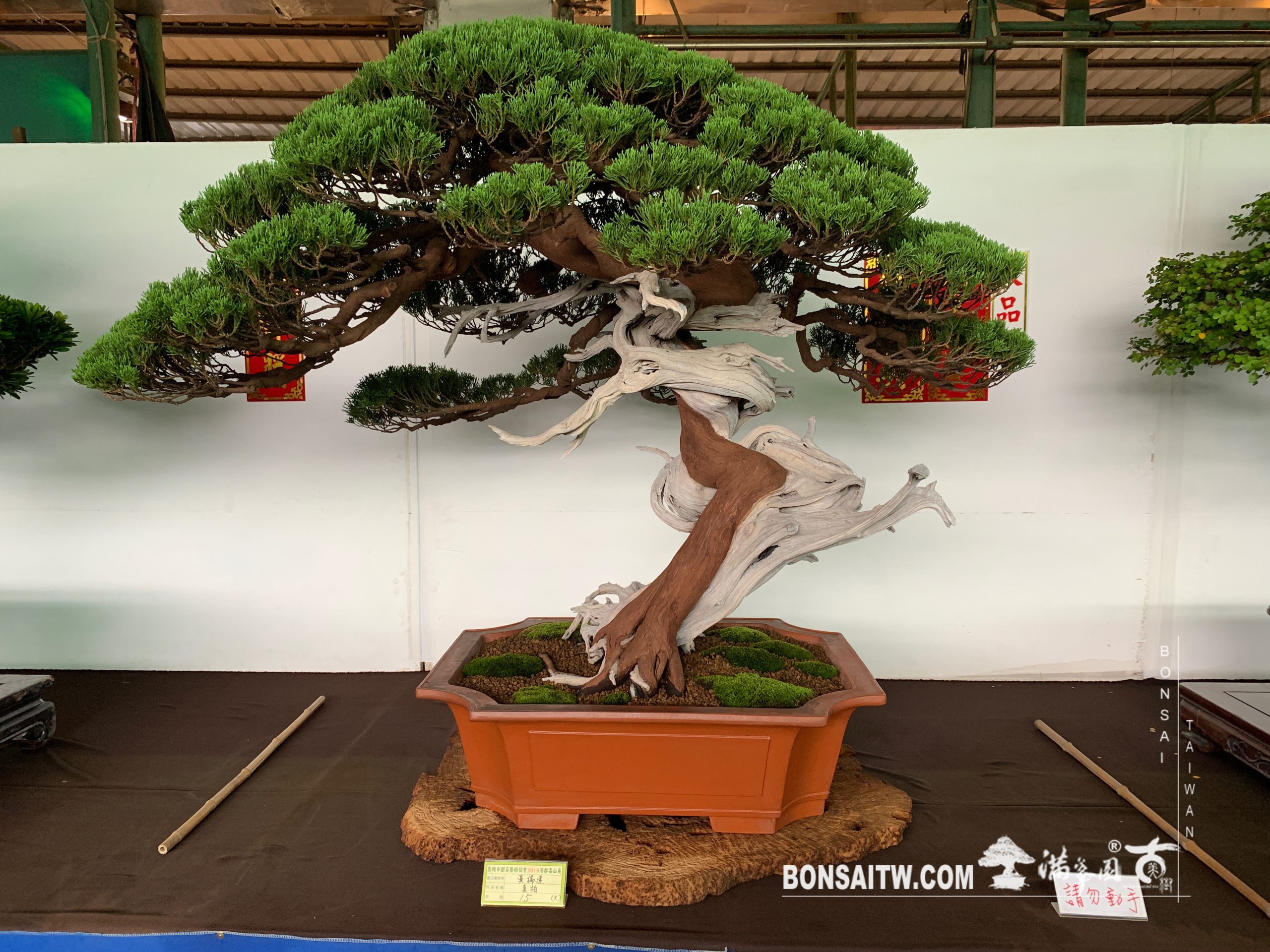 img 2421 [展覽] 2019港都壽山展