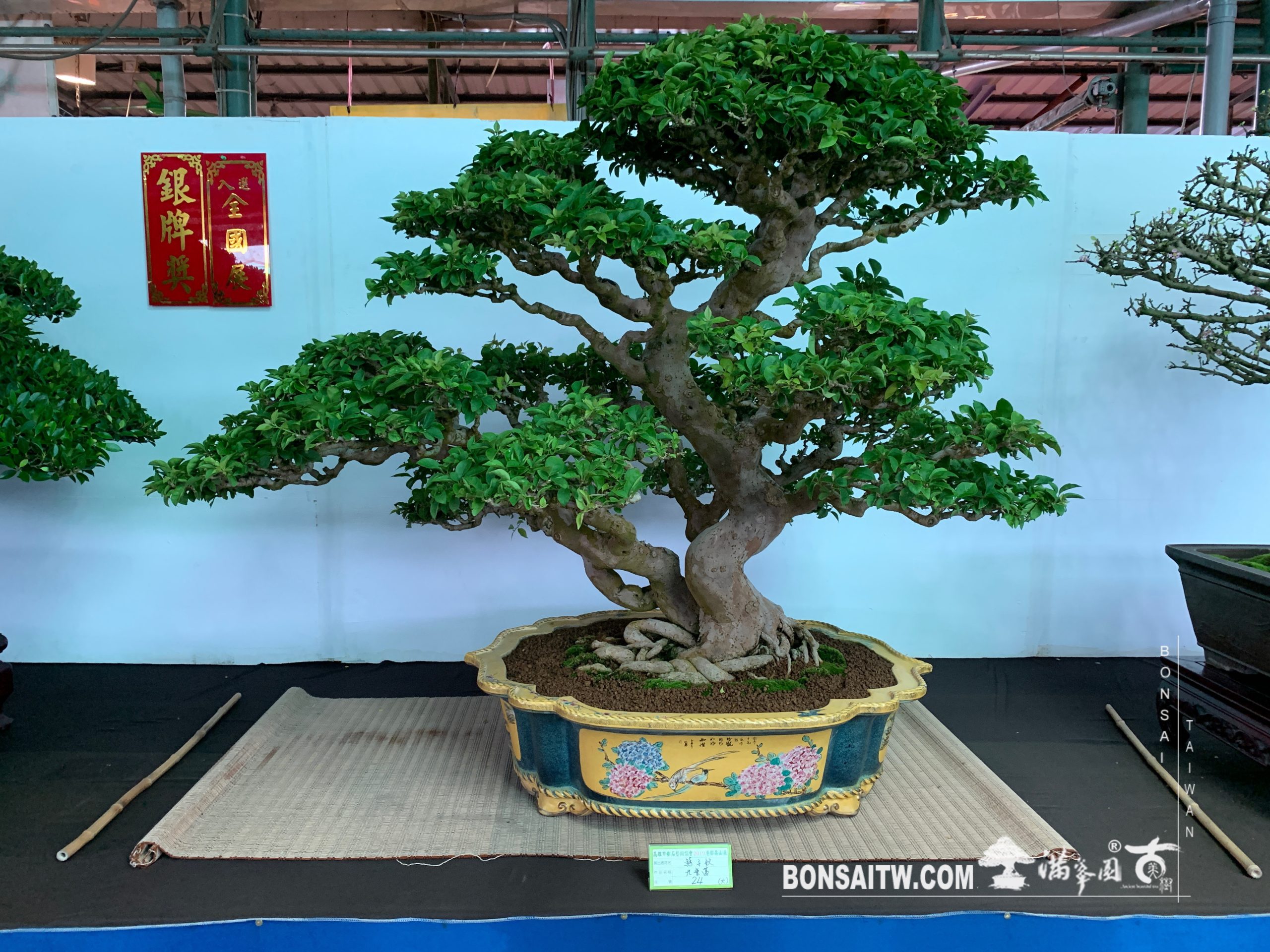 img 2422 [展覽] 2019港都壽山展