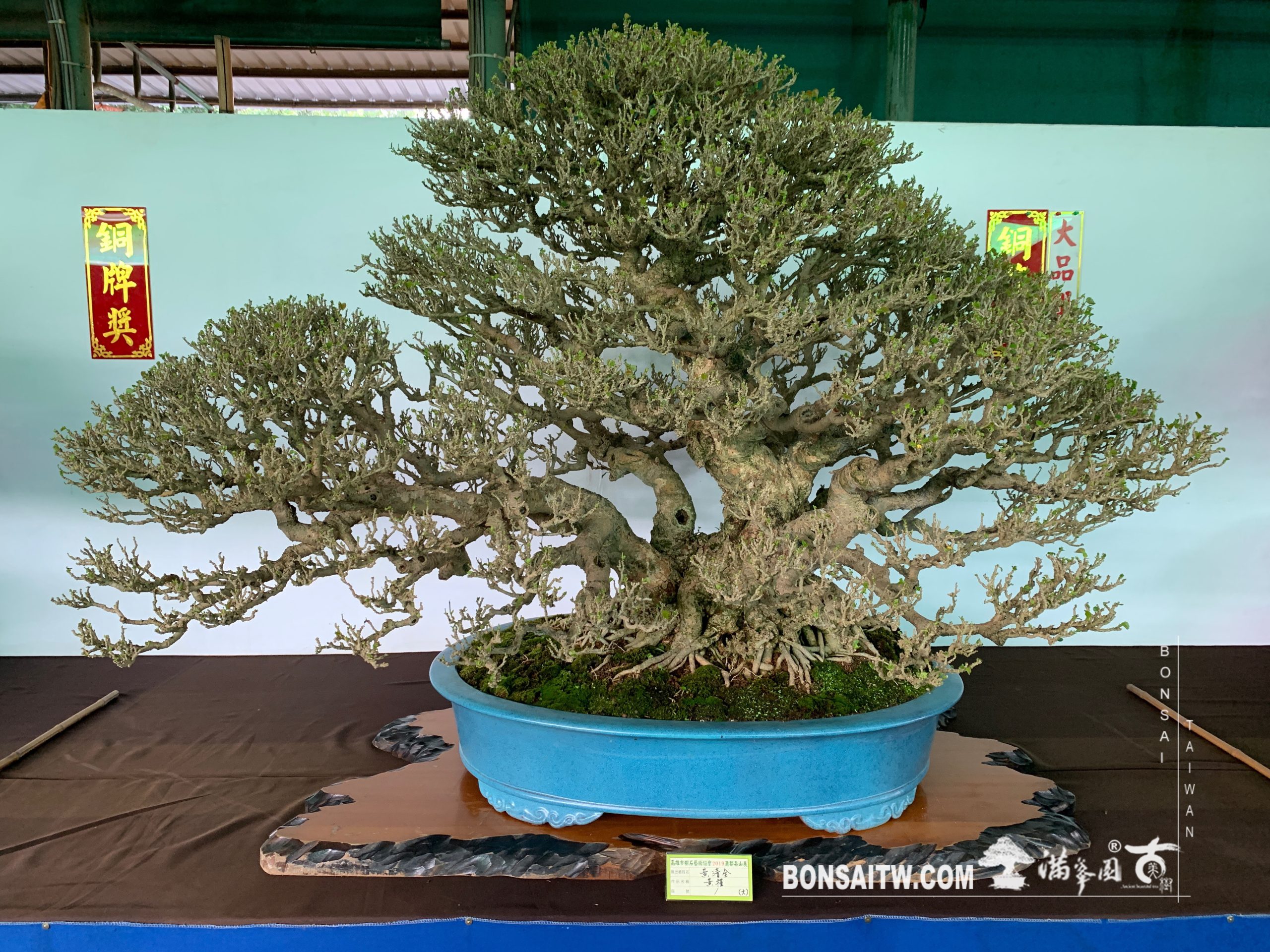 img 2423 [展覽] 2019港都壽山展