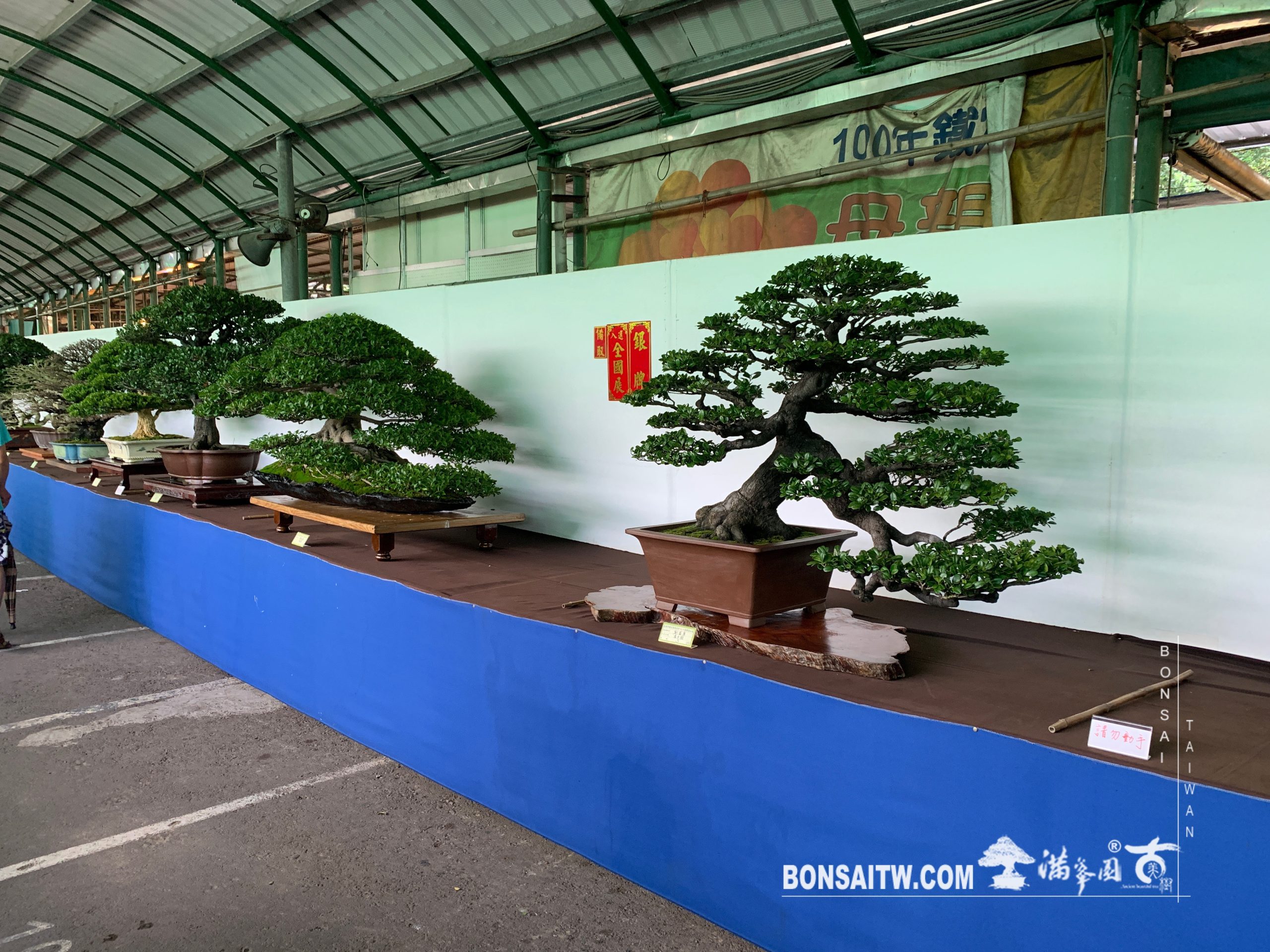 img 2424 [展覽] 2019港都壽山展