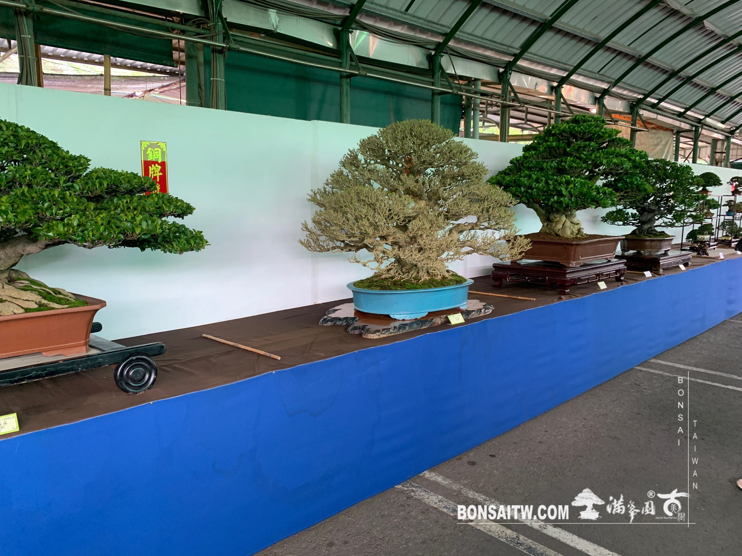 img 2427 [展覽] 2019港都壽山展