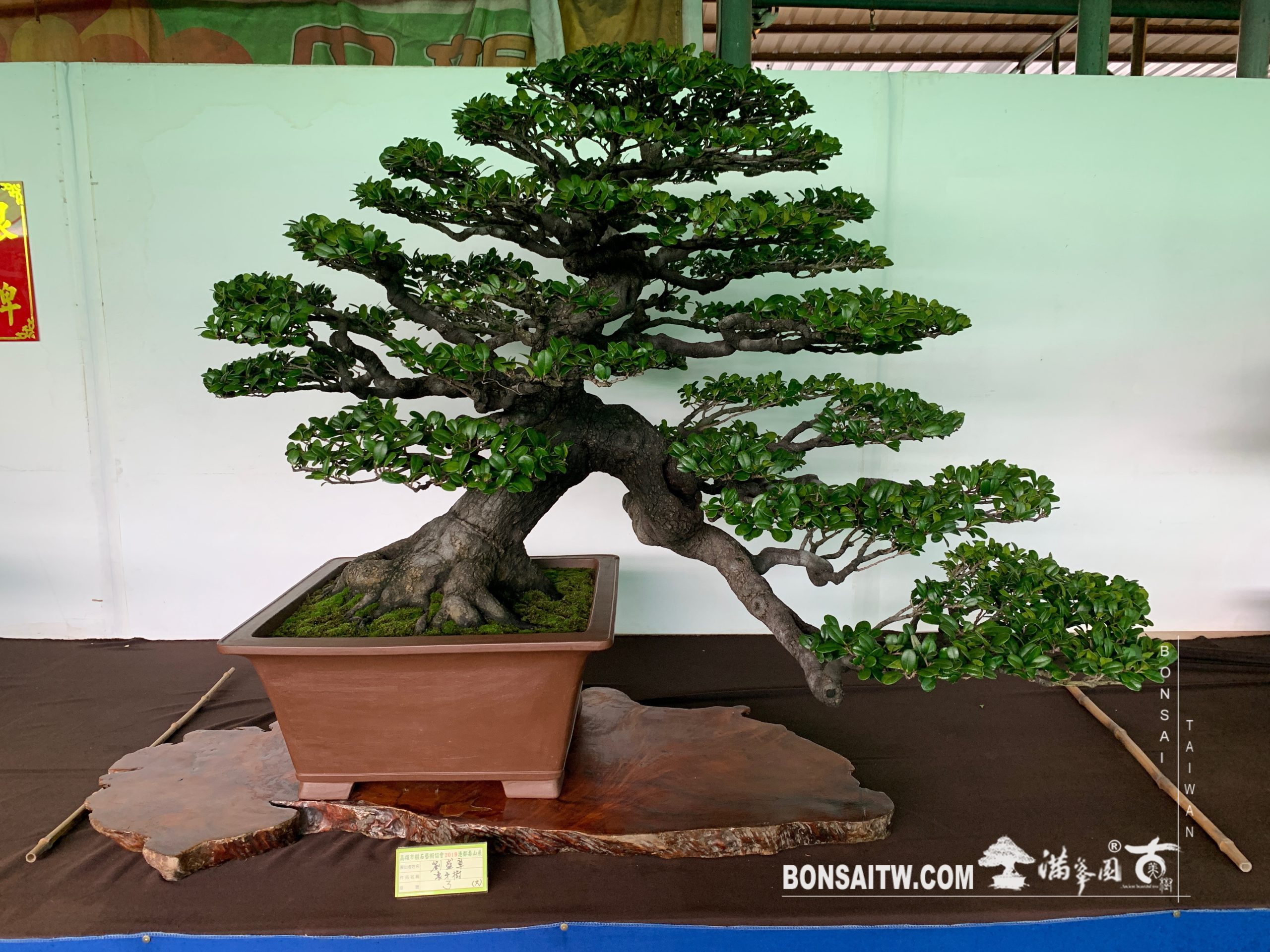 img 2429 [展覽] 2019港都壽山展