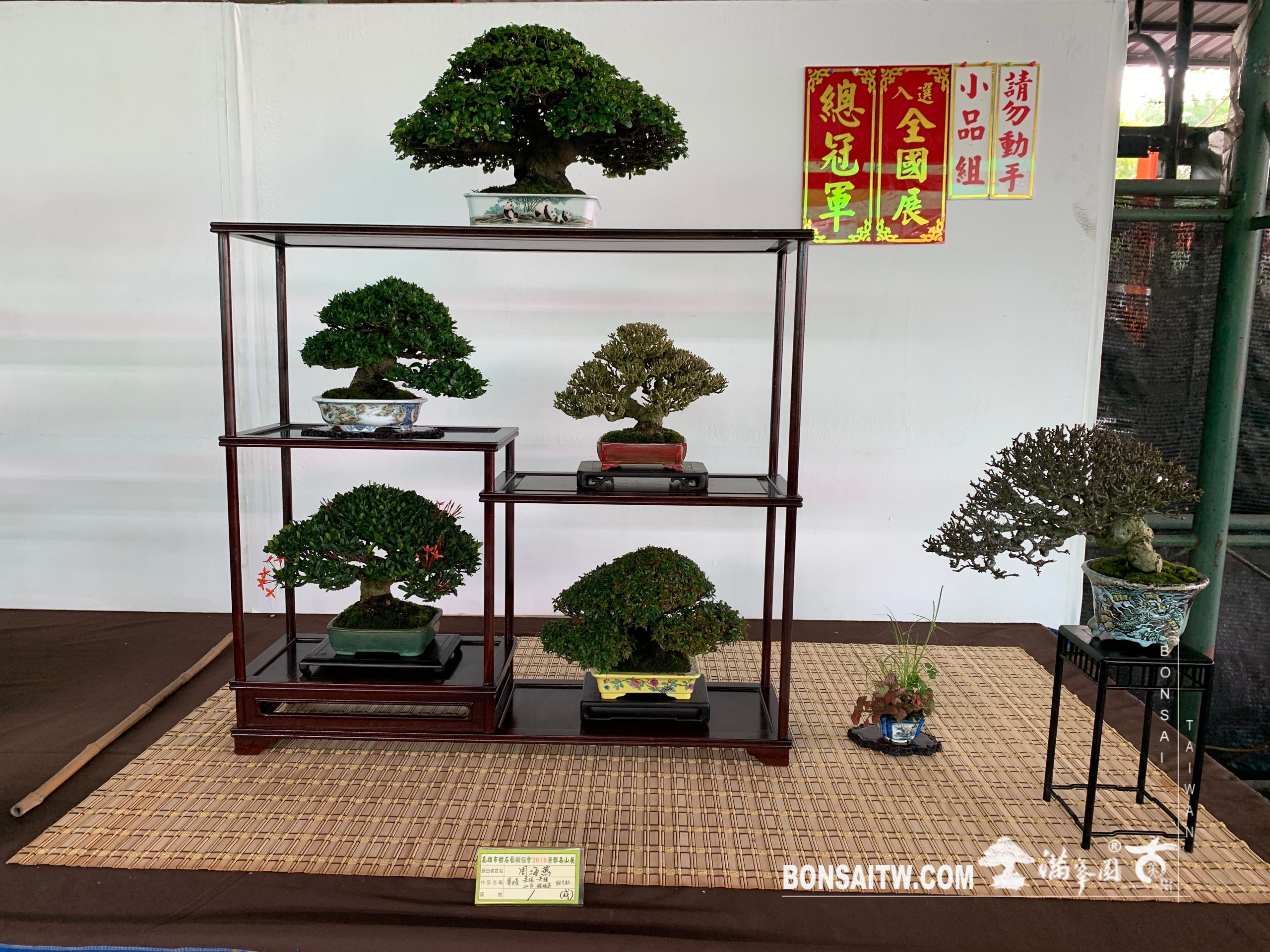 img 2430 1 [展覽] 2019港都壽山展