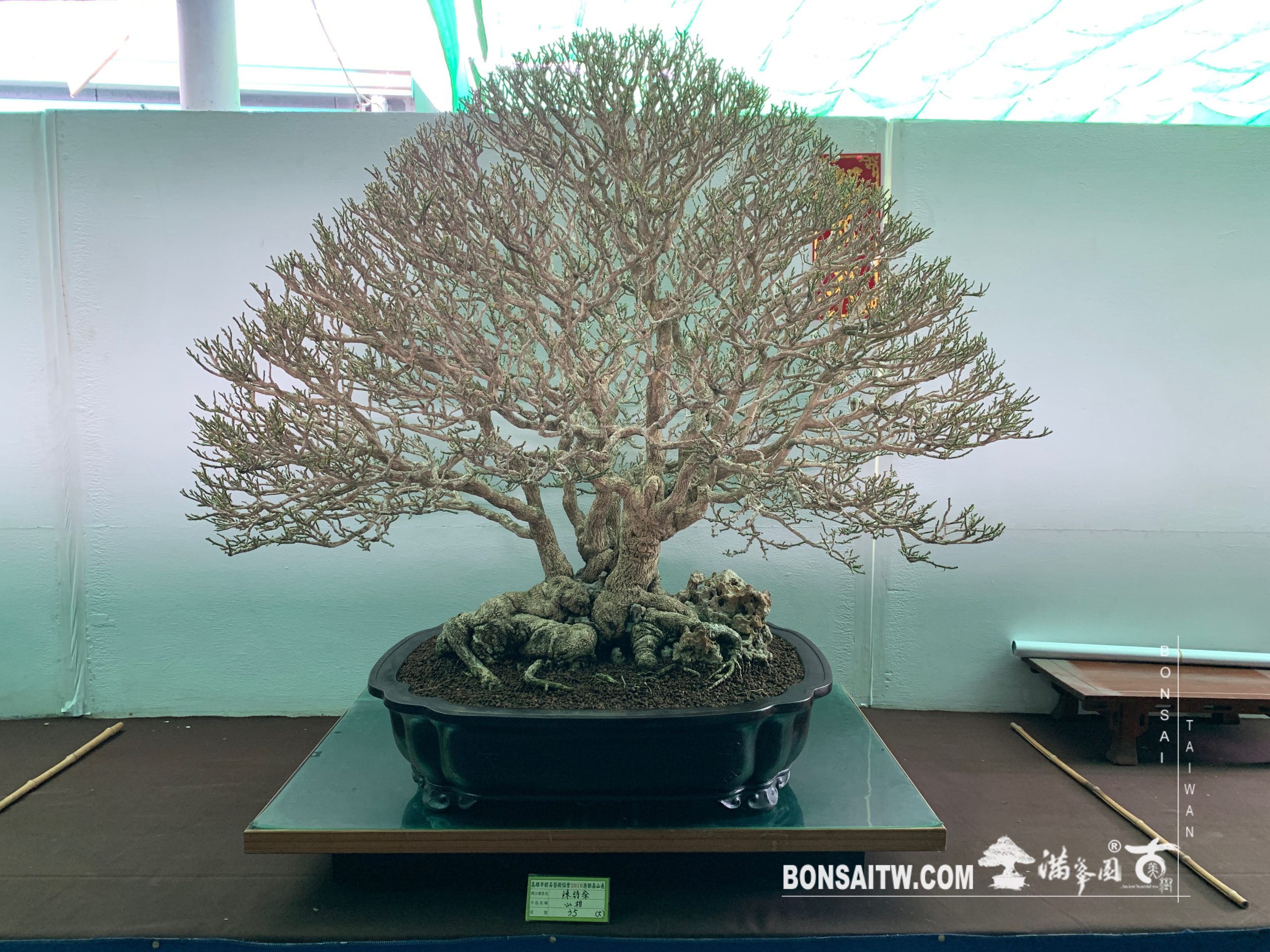 img 2433 [展覽] 2019港都壽山展